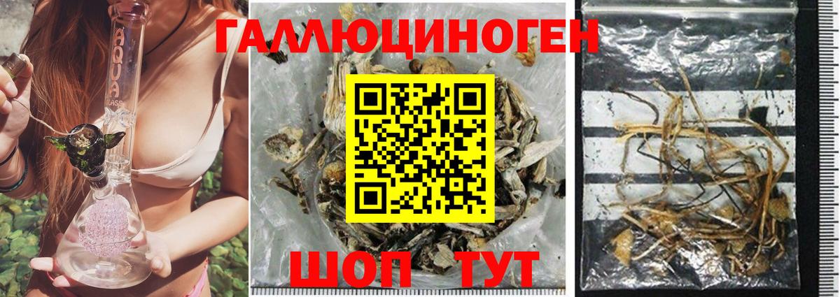 Галлюциногенные грибы мицелий  Галлюциногенные грибы Psilocybine cubensis  Вязьма  Вход с VPN 